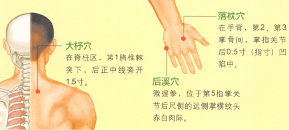 落枕艾灸哪个部位图解