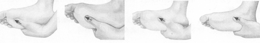 颈背痛按摩部位图解