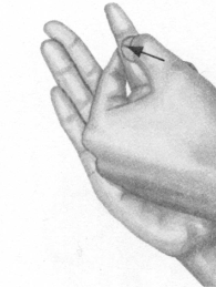 胃肠炎按摩部位图解