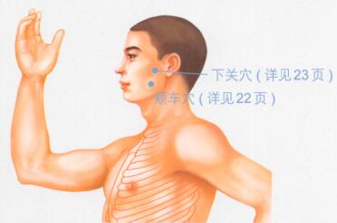 牙痛按摩部位图解