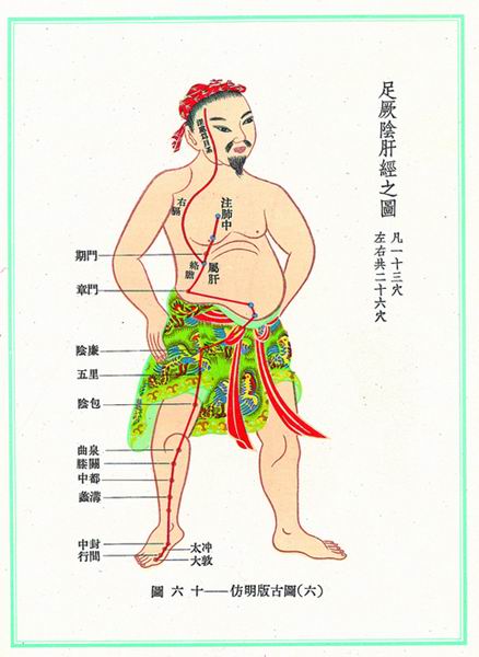 《新针灸学》经穴图