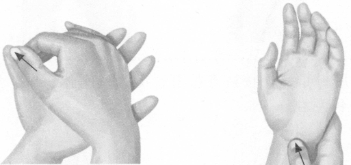 遗精按摩部位图解