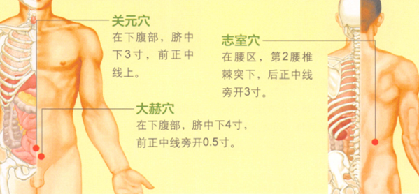 遗精艾灸哪个部位图解