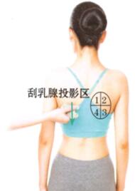 乳腺增生刮痧部位图解
