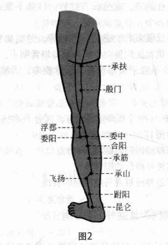 腰椎间盘突出症磁圆梅针疗法