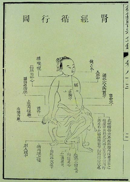 《医宗金鉴》十二脉图