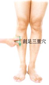 肾虚型阳痿-早泄刮痧部位图解