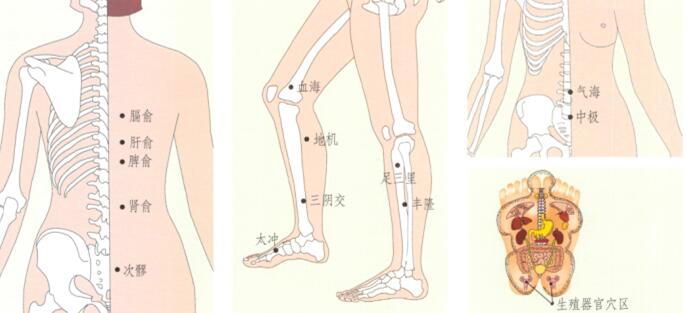 闭经刮痧部位图解