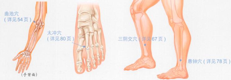 高血压按摩部位图解