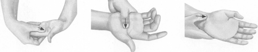 遗精按摩部位图解