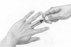 前列腺疾病按摩部位图解