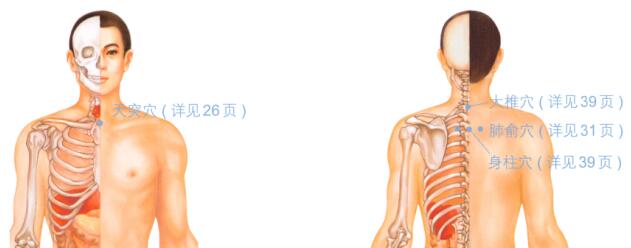 咳嗽按摩部位图解