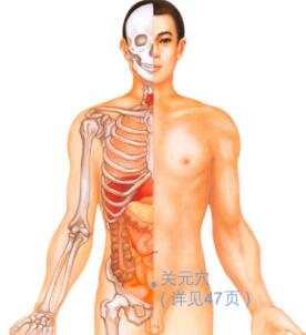 痔疮按摩部位图解