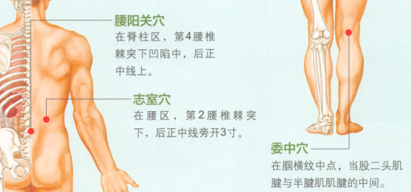 腰肌劳损艾灸哪个部位图解