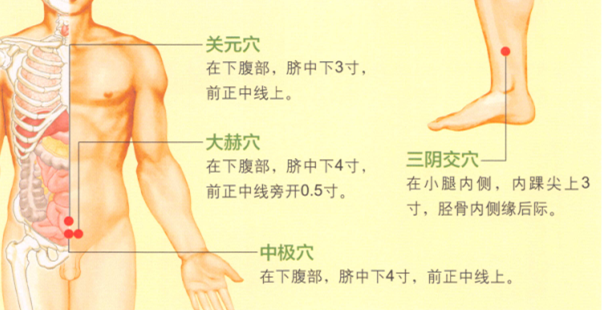 不育症艾灸哪个部位图解