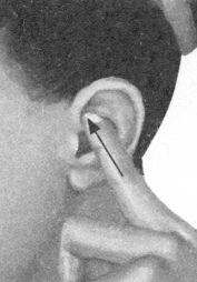 糖尿病按摩部位图解