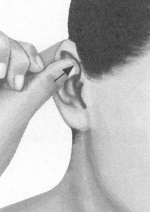 胃肠炎按摩部位图解