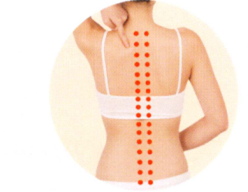 脱肛拔罐部位图解