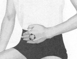 遗精按摩部位图解