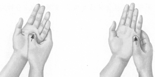 遗精按摩部位图解