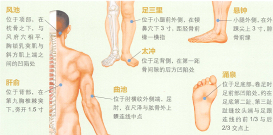 高血压病艾灸哪个部位图解