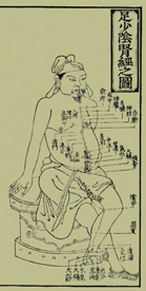 《十四经发挥》经穴图