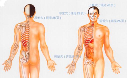鼻炎按摩部位图解