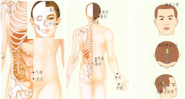 耳鸣刮痧部位图解