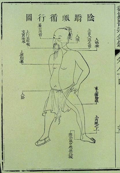 《医宗金鉴》奇经八脉图