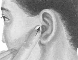 高血压按摩部位图解