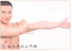 清肺补肺按摩部位图解