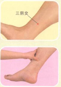 阳痿早泄按摩部位图解