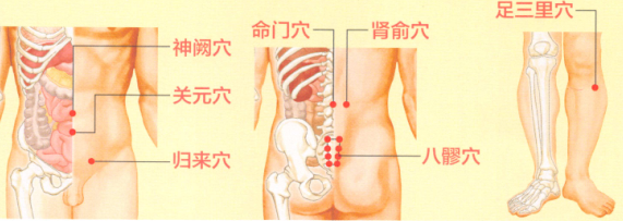 不育症艾灸哪个部位图解