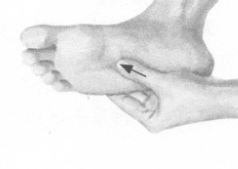 糖尿病按摩部位图解