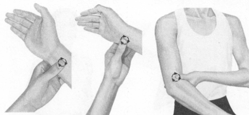 遗精按摩部位图解