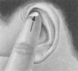 遗精按摩部位图解