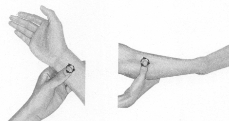 遗精按摩部位图解