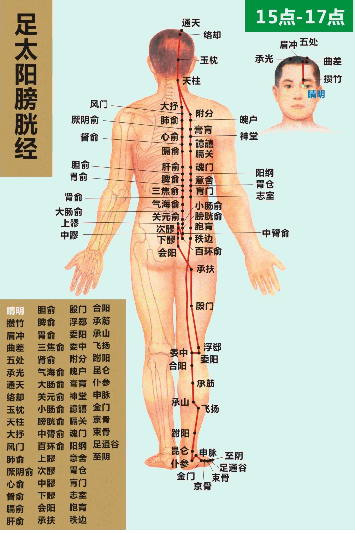最全经络高清动图，再也不怕找不到穴位了！