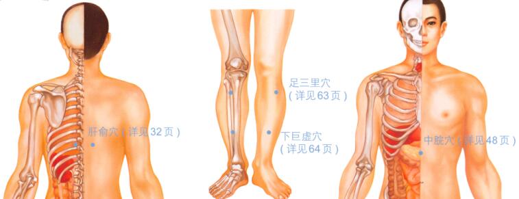 宿醉按摩部位图解