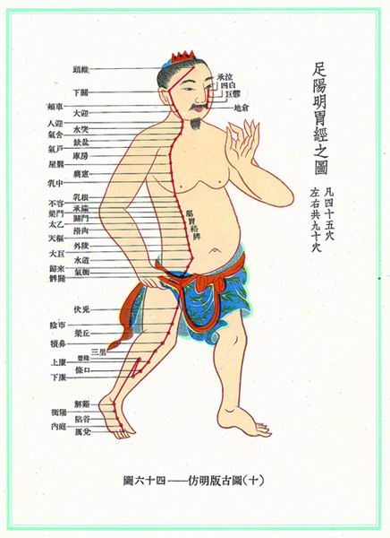 《新针灸学》经穴图