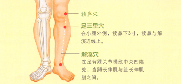 踝关节痛艾灸哪个部位图解