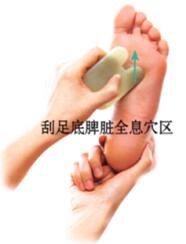 高脂血症刮痧部位图解