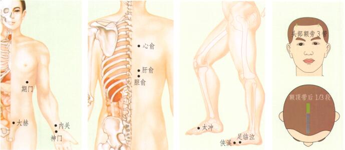 肝郁气滞型阳痿-早泄刮痧部位图解