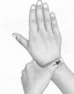 腰椎间盘突出症按摩部位图解