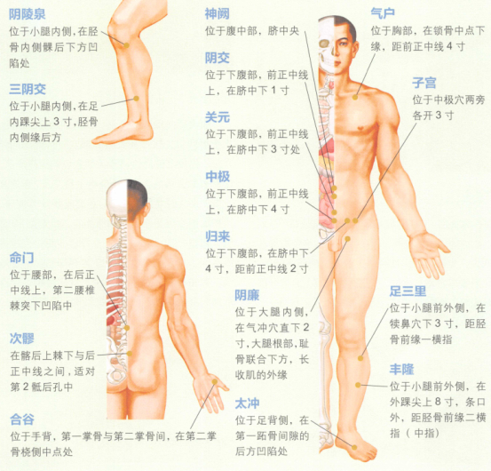 女性不孕症艾灸哪个部位图解