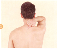 阴囊潮湿艾灸哪个部位图解