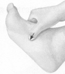 胃肠炎按摩部位图解