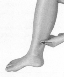 失眠症按摩部位图解