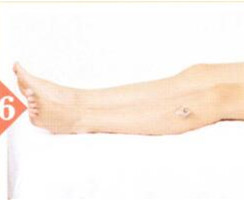 阳虚体质拔罐部位图解