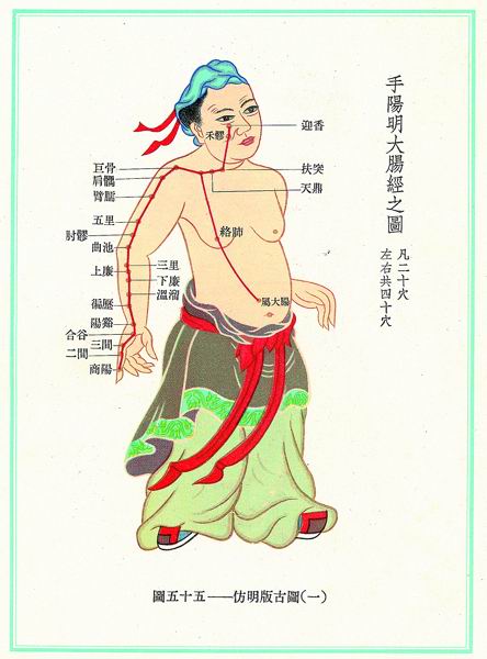 《新针灸学》经穴图